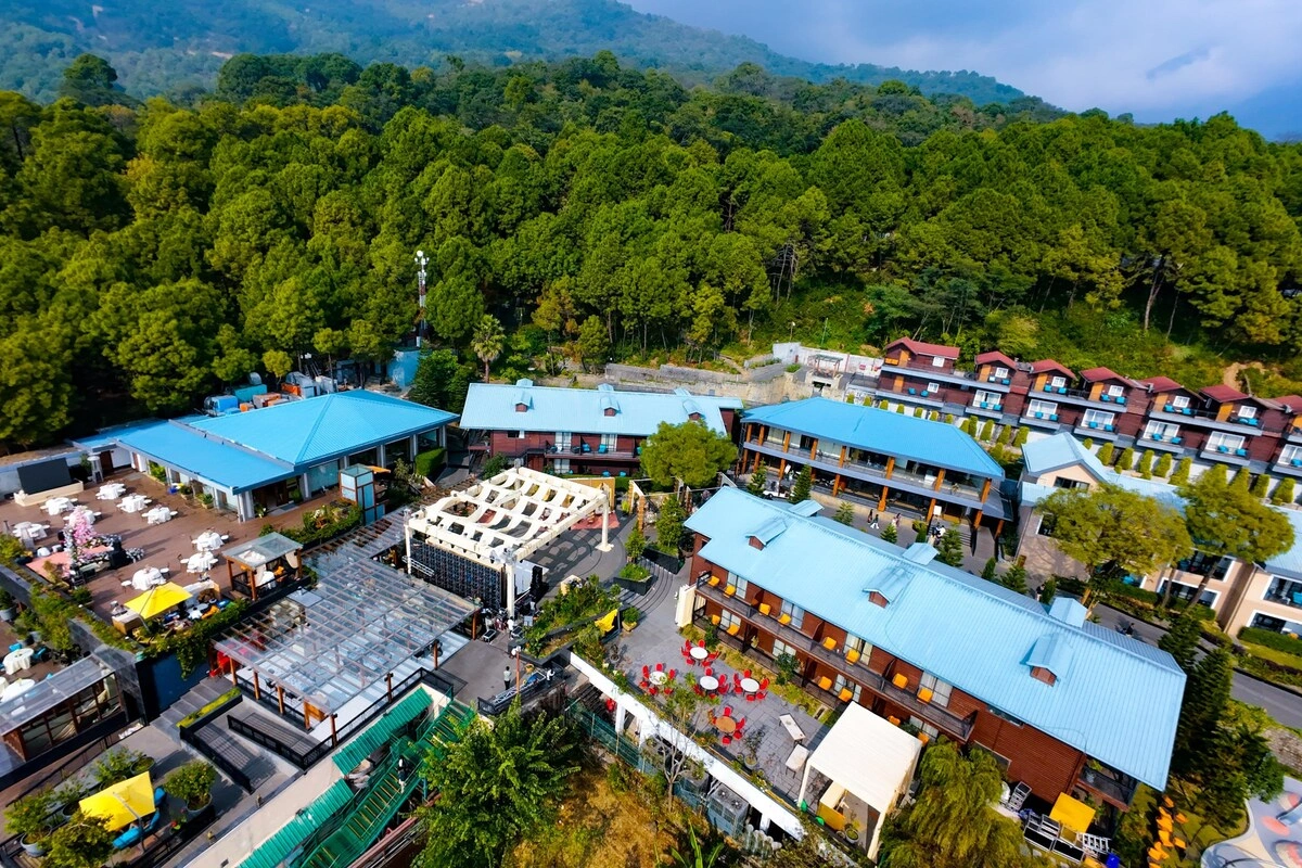 Wedding Planner in Chandigarh